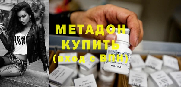 трава Корсаков