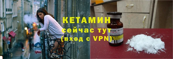 трава Корсаков