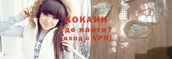 индика Ессентукская