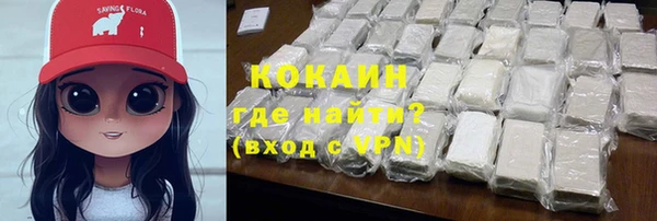 трава Корсаков