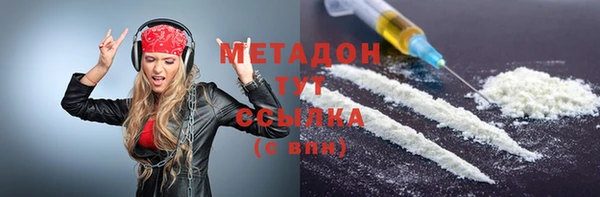 трава Корсаков