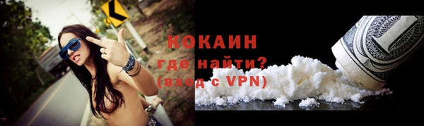 трава Корсаков