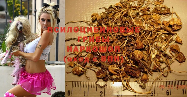гашиш Коряжма