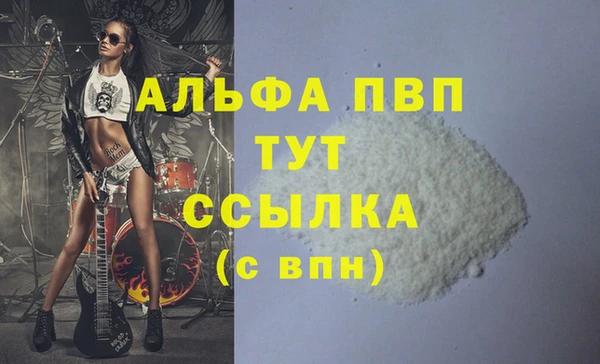 трава Корсаков