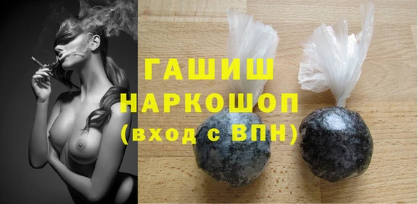трава Корсаков
