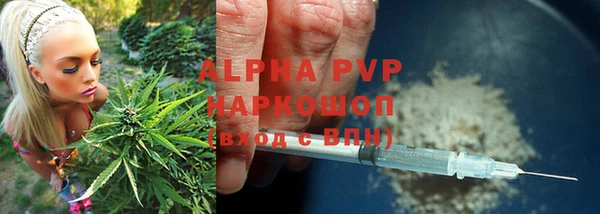 трава Корсаков