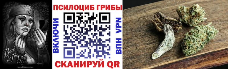 гидра онион  Электросталь  darknet как зайти  Галлюциногенные грибы Cubensis 